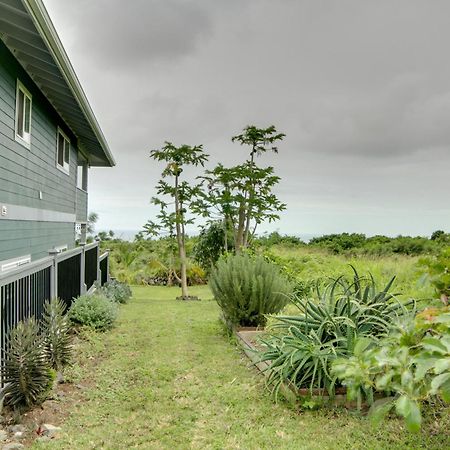 The Aloha Green House Retreat With Ocean Views! Naalehu Eksteriør billede
