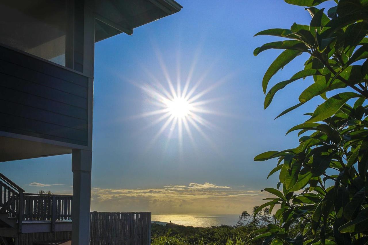 The Aloha Green House Retreat With Ocean Views! Naalehu Eksteriør billede
