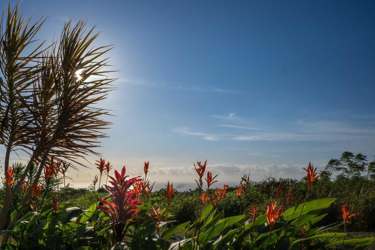 The Aloha Green House Retreat With Ocean Views! Naalehu Eksteriør billede